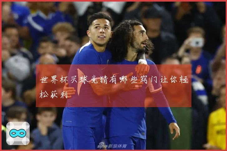 世界杯买球竞猜有哪些窍门让你轻松获利