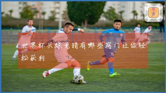 世界杯买球竞猜有哪些窍门让你轻松获利