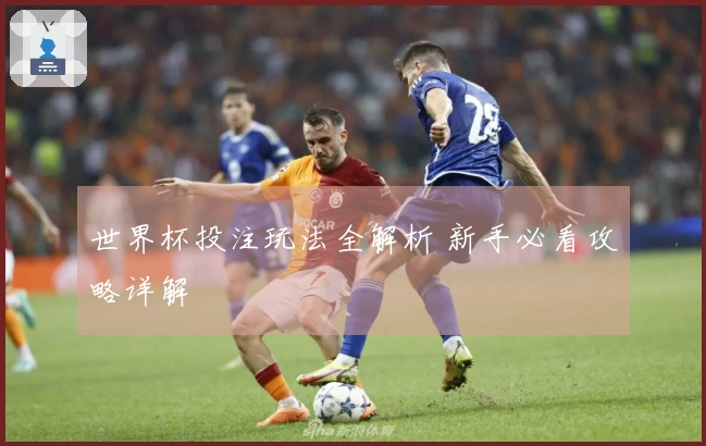 世界杯投注玩法全解析 新手必看攻略详解