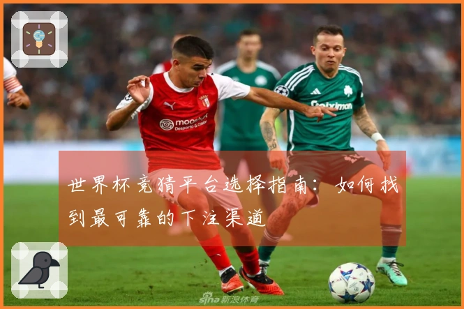 世界杯竞猜平台选择指南：如何找到最可靠的下注渠道