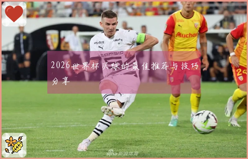 2026世界杯买球的最佳推荐与技巧分享