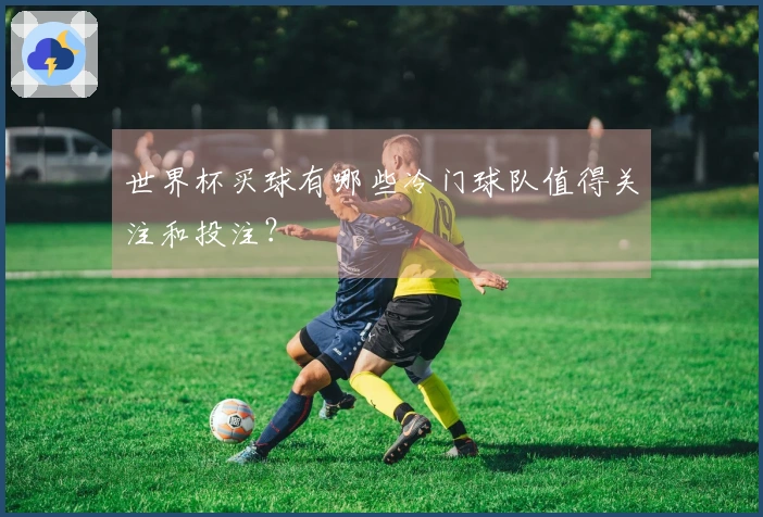 世界杯买球有哪些冷门球队值得关注和投注？