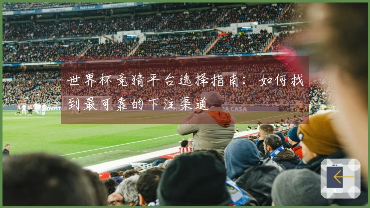 世界杯竞猜平台选择指南：如何找到最可靠的下注渠道